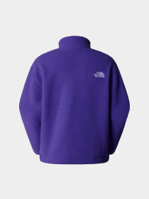 Кофта The North Face Fleeski модель NF0A88Z2NL41 Фото