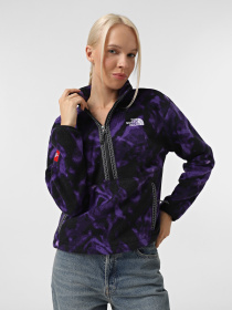 Кофта The North Face Fleeski 1/4 Zip модель NF0A88Z33VI1 Фото