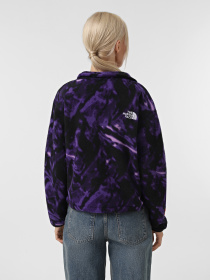 Кофта The North Face Fleeski 1/4 Zip модель NF0A88Z33VI1 Фото