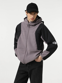 Худи и свитшоты The North Face Light Fleece модель NF0A8A840IL1 Фото
