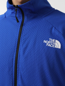 Кофта спортивная The North Face Summit Futurefleece модель NF0A5J8R8V21 Фото