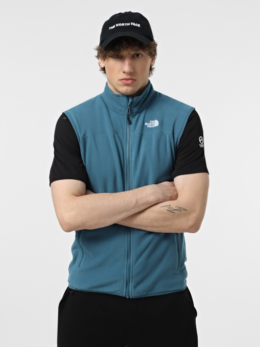 Утеплений жилет The North Face 100 Glacier модель NF0A7SSLQ311 Фото