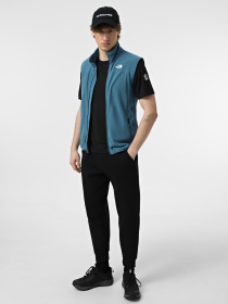 Утепленный жилет The North Face 100 Glacier модель NF0A7SSLQ311 Фото