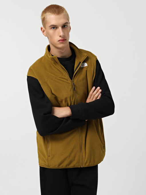 Жилет с утеплителем The North Face 100 Glacier модель NF0A7SSL1OB1 Фото