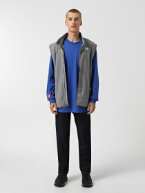 Утепленный жилет The North Face 100 Glacier модель NF0A7SSLDYY1 Фото