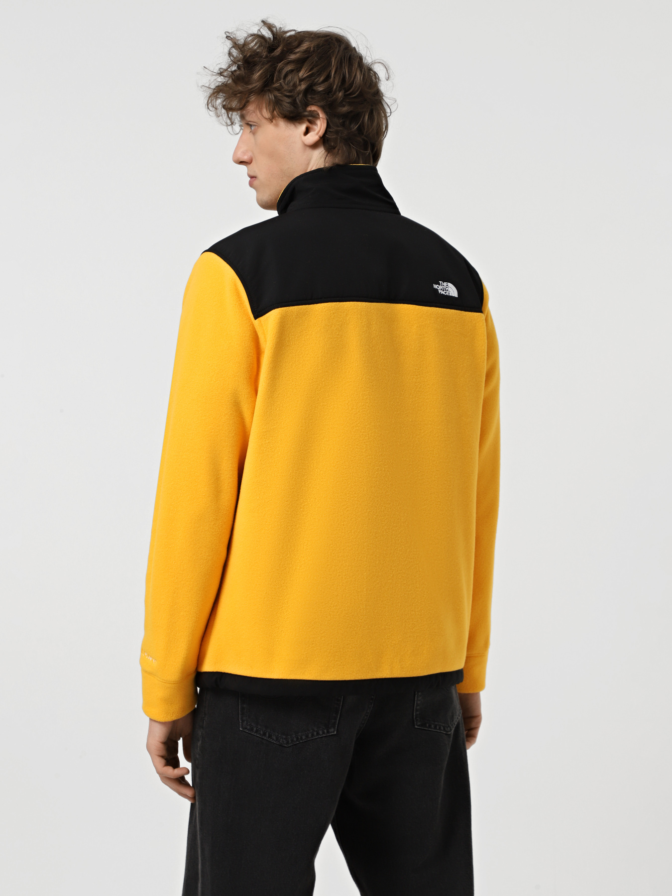 Кофта The North Face Alpine Polartec 200 модель NF0A7WWL4WP1 Фото