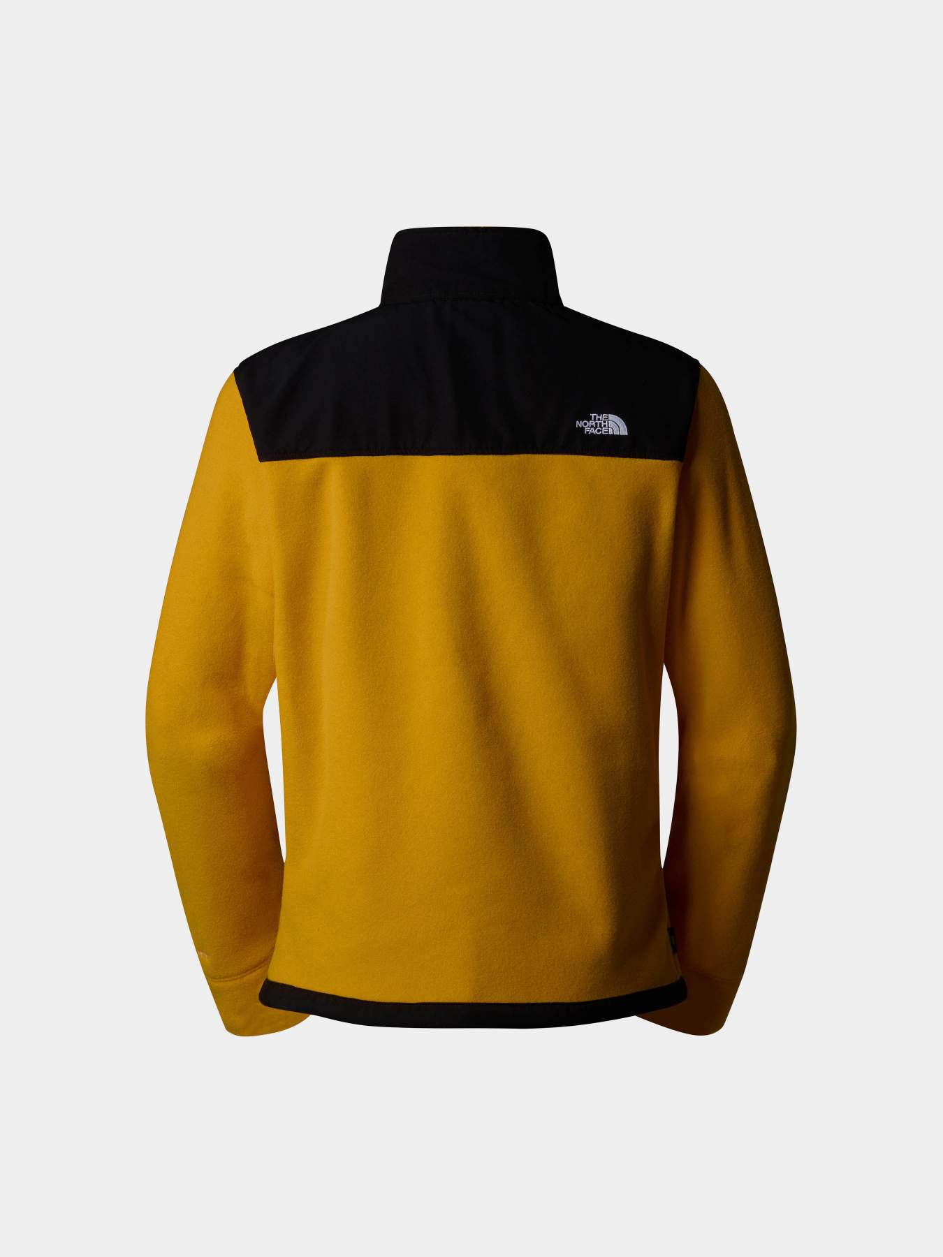 Кофта The North Face Alpine Polartec 200 модель NF0A7WWL4WP1 Фото