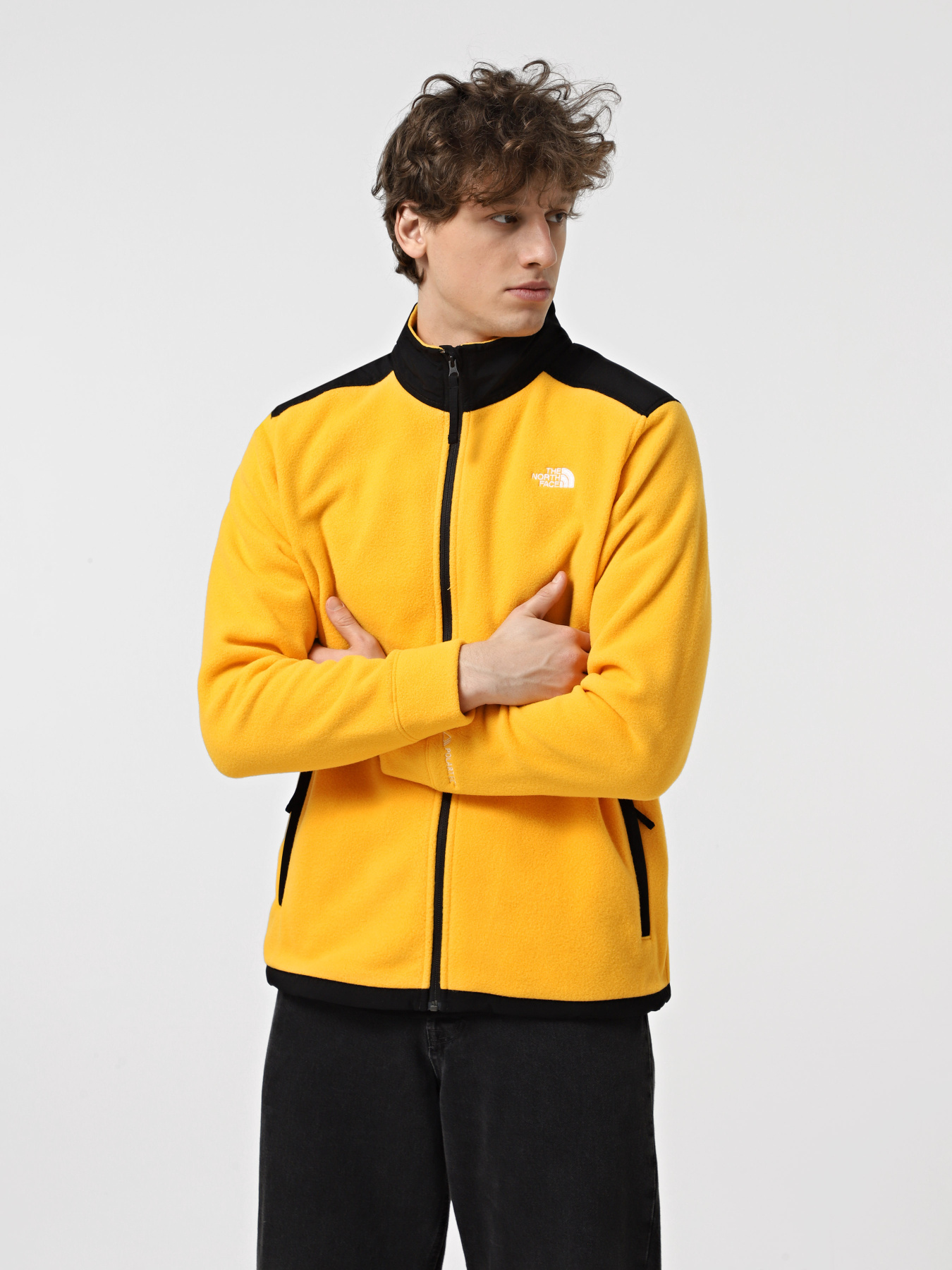 Кофта The North Face Alpine Polartec 200 модель NF0A7WWL4WP1 Фото