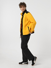 Кофта The North Face Alpine Polartec 200 модель NF0A7WWL4WP1 Фото