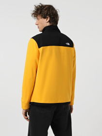 Кофта The North Face Alpine Polartec 200 модель NF0A7WWL4WP1 Фото