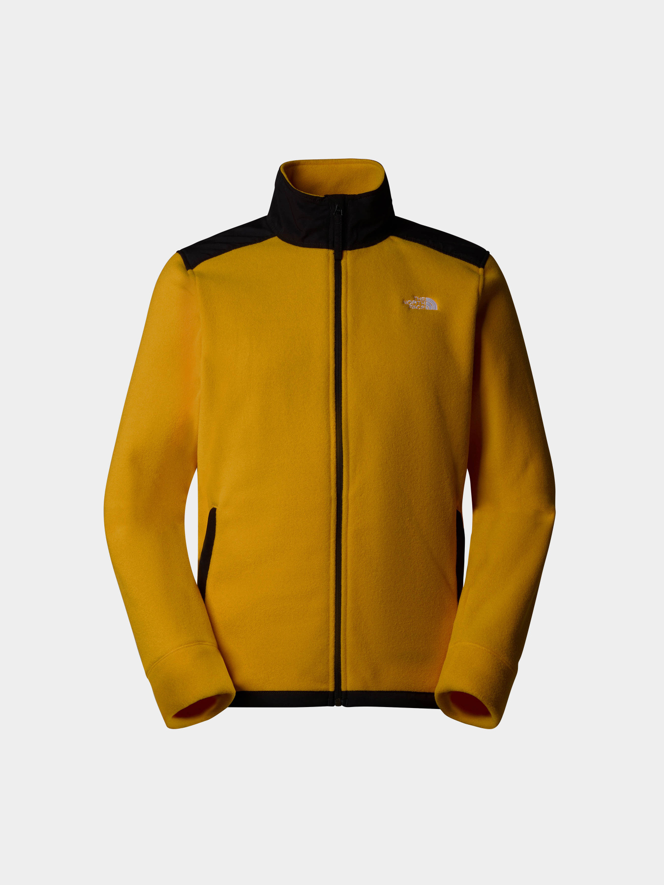 Кофта The North Face Alpine Polartec 200 модель NF0A7WWL4WP1 Фото