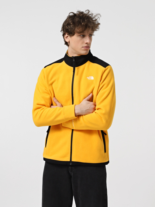 Кофта The North Face Alpine Polartec 200 модель NF0A7WWL4WP1 Фото