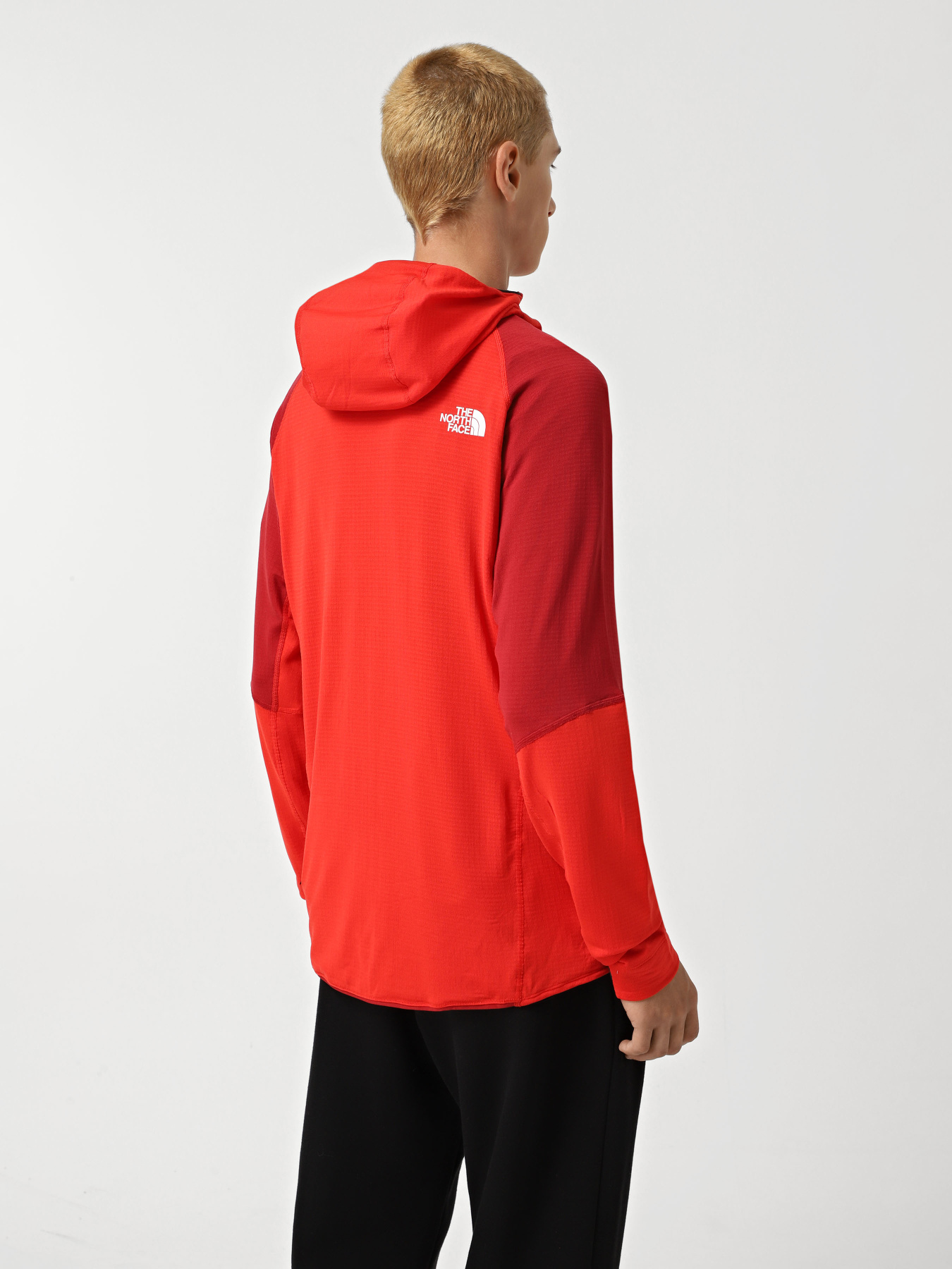 Кофта The North Face Bolt Polartec модель NF0A825E7IR1 Фото