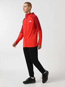 Кофта The North Face Bolt Polartec модель NF0A825E7IR1 Фото