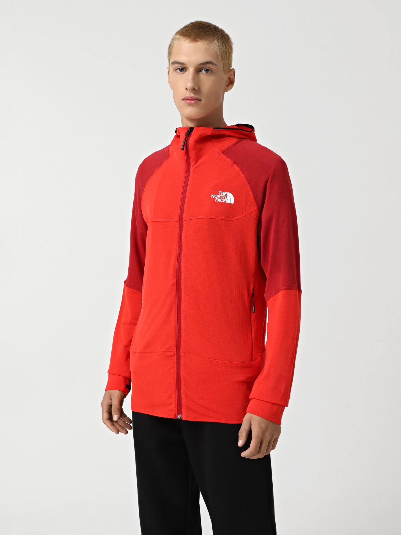 Кофта The North Face Bolt Polartec модель NF0A825E7IR1 Фото