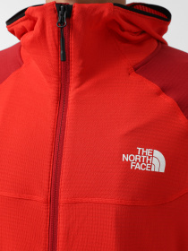 Кофта The North Face Bolt Polartec модель NF0A825E7IR1 Фото