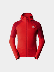 Кофта The North Face Bolt Polartec модель NF0A825E7IR1 Фото