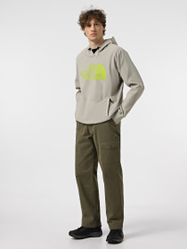 Худи The North Face Tekno Logo модель NF0A82V61I41 Фото