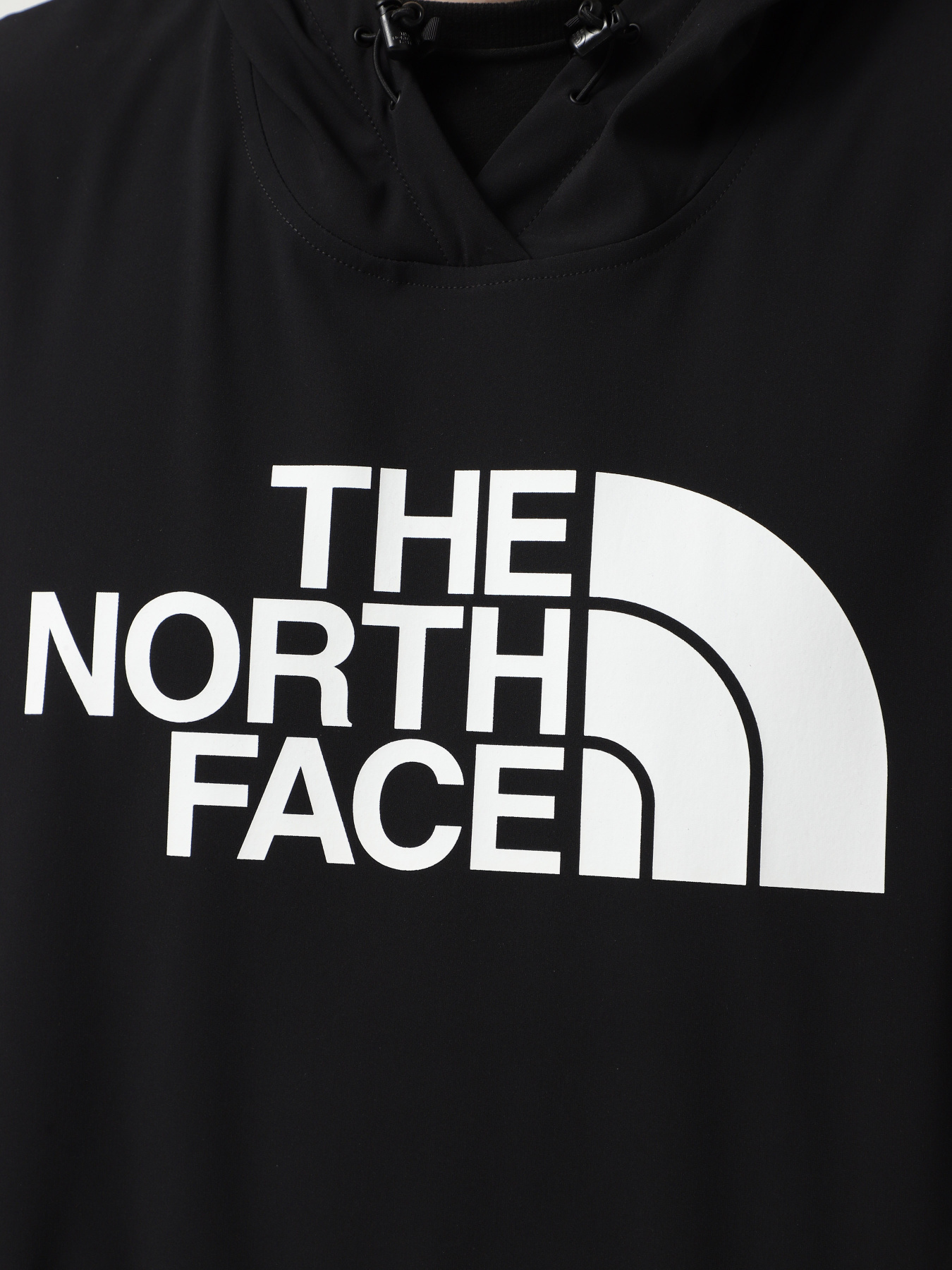 Худі The North Face Tekno Logo модель NF0A82V64H01 Фото