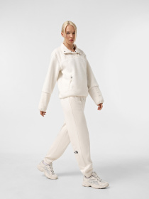 Худи и свитшоты The North Face Cragmont Fleece модель NF0A84IBQLI1 Фото