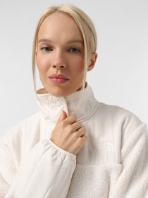 Кофта The North Face Cragmont Fleece модель NF0A84IBQLI1 Фото