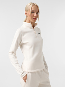 Кофта The North Face 100 Glacier 1/4 Zip модель NF0A855M4HP1 Фото