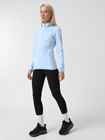 Спортивная кофта The North Face 100 Glacier модель NF0A855O1I51 Фото