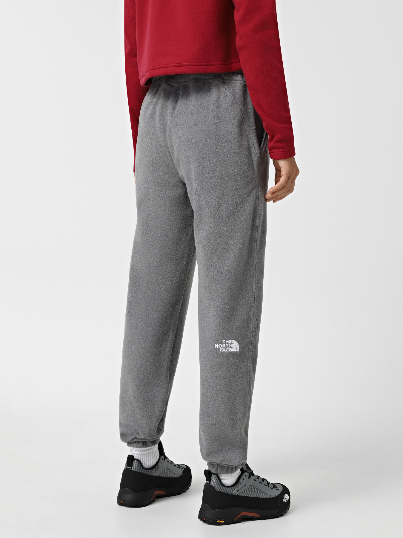 Штаны спортивные The North Face 100 Glacier модель NF0A855QDYY1 Фото