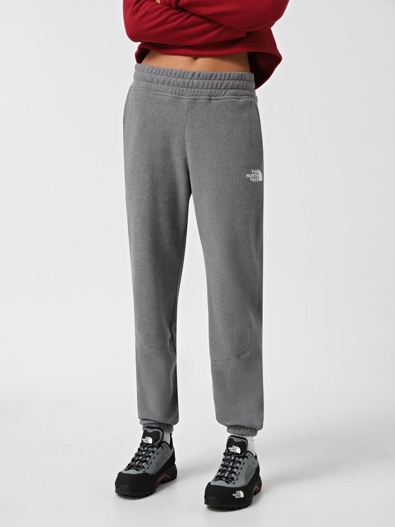 Штаны спортивные The North Face 100 Glacier модель NF0A855QDYY1 Фото