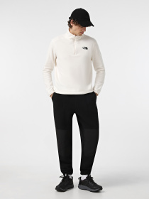 Кофта The North Face 100 Glacier 1/4 Zip модель NF0A855W4HP1 Фото