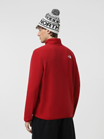 Кофта The North Face 100 Glacier модель NF0A855W3RO1 Фото