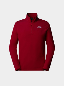 Кофта The North Face 100 Glacier модель NF0A855W3RO1 Фото