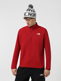 Кофта The North Face 100 Glacier модель NF0A855W3RO1 Фото