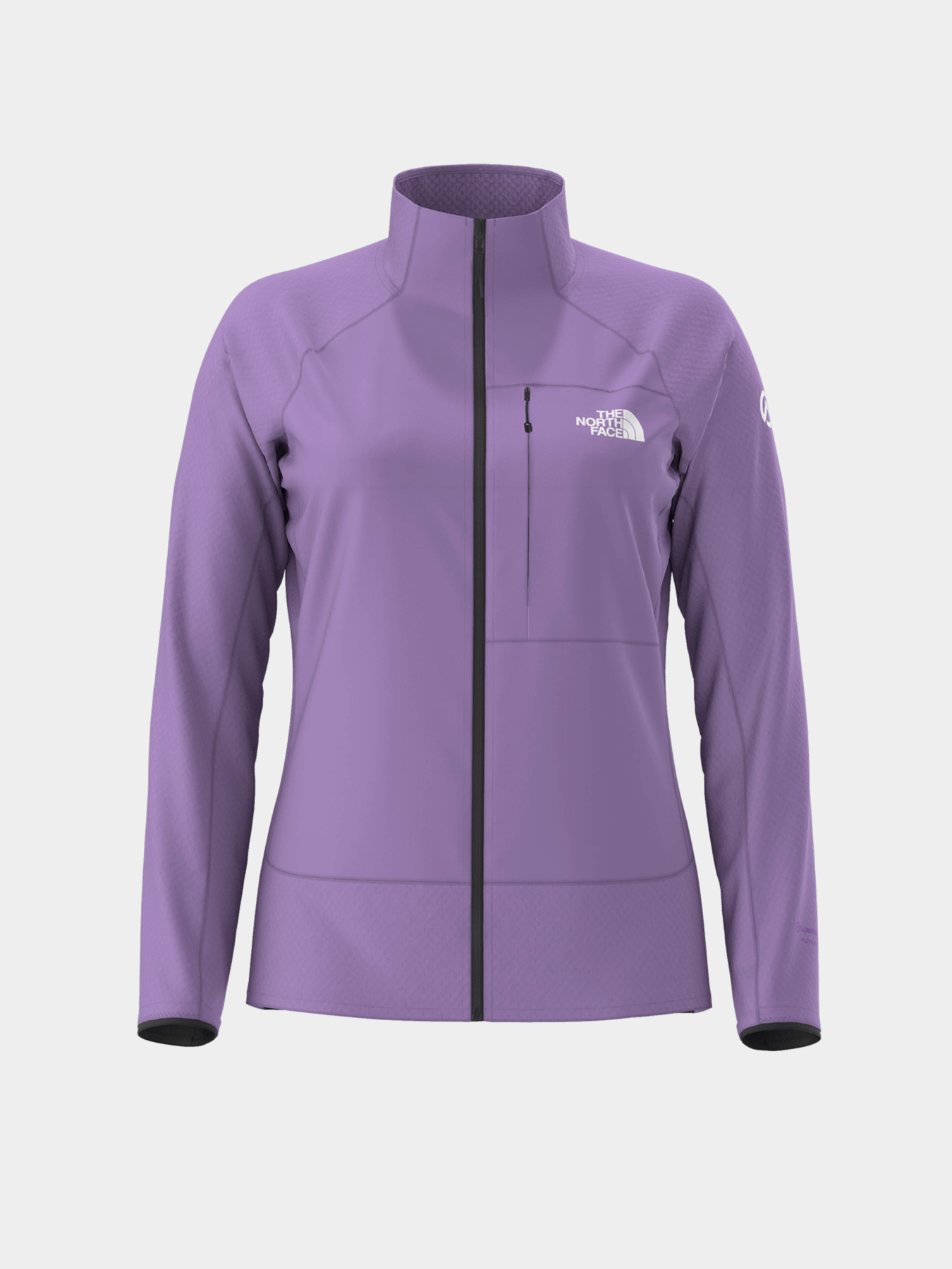 Кофта спортивная The North Face Summit Futurefleece модель NF0A8B1F6IX1 Фото