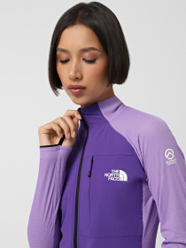 Кофта спортивная The North Face Summit Futurefleece модель NF0A8B1F6IX1 Фото