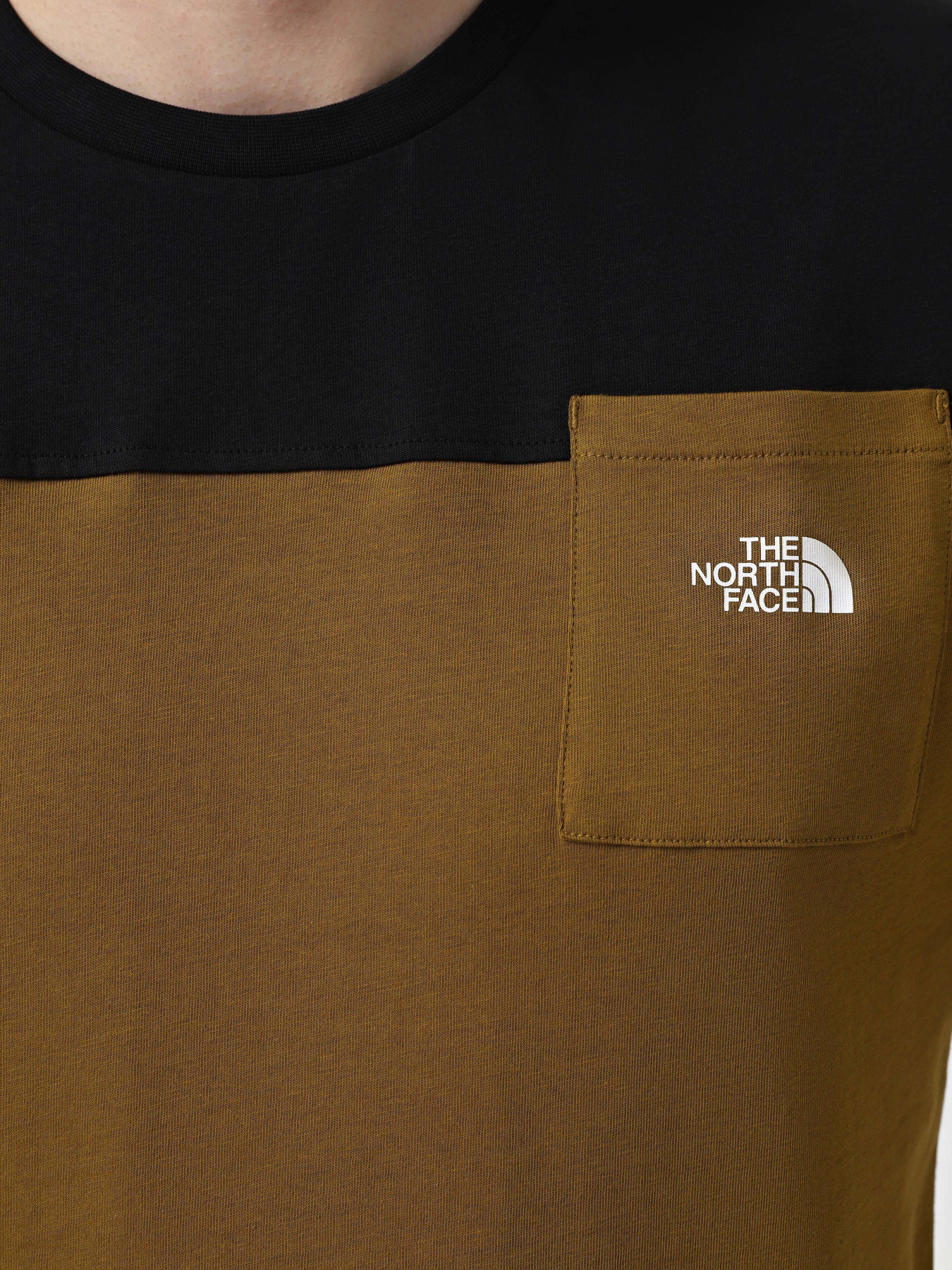 Футболка The North Face Icons модель NF0A87DP5HO1 Фото