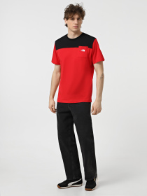 Футболка The North Face Icons модель NF0A87DPKZ31 Фото