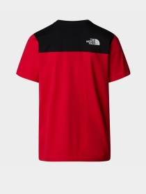 Футболка The North Face Icons модель NF0A87DPKZ31 Фото