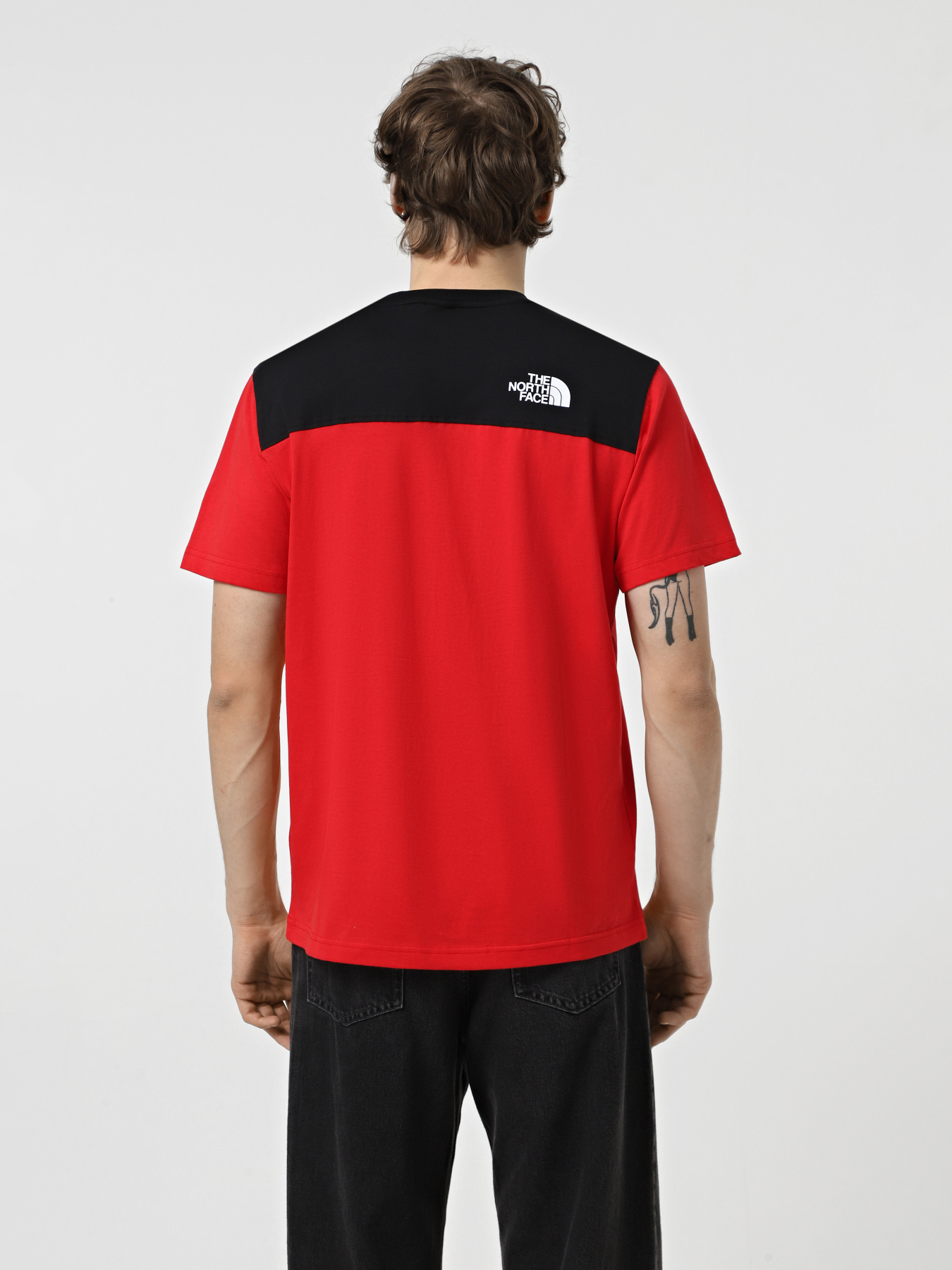 Футболка The North Face Icons модель NF0A87DPKZ31 Фото