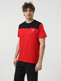 Футболка The North Face Icons модель NF0A87DPKZ31 Фото