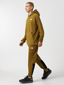 Штаны спортивные The North Face Icons модель NF0A87DQ5HO1 Фото