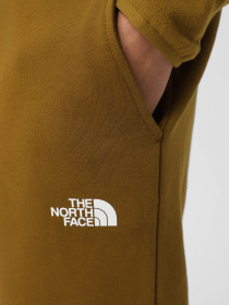 Штаны спортивные The North Face Icons модель NF0A87DQ5HO1 Фото