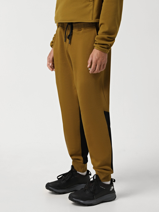 Спортивні штани The North Face Icons модель NF0A87DQ5HO1 Фото