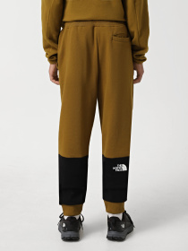 Спортивні штани The North Face Icons модель NF0A87DQ5HO1 Фото