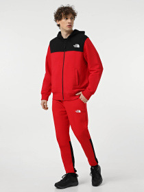 Штаны спортивные The North Face Icons модель NF0A87DQKZ31 Фото