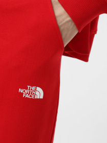 Штаны спортивные The North Face Icons модель NF0A87DQKZ31 Фото