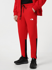 Штаны спортивные The North Face Icons модель NF0A87DQKZ31 Фото