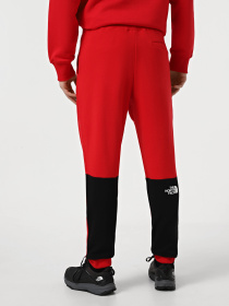 Штаны спортивные The North Face Icons модель NF0A87DQKZ31 Фото