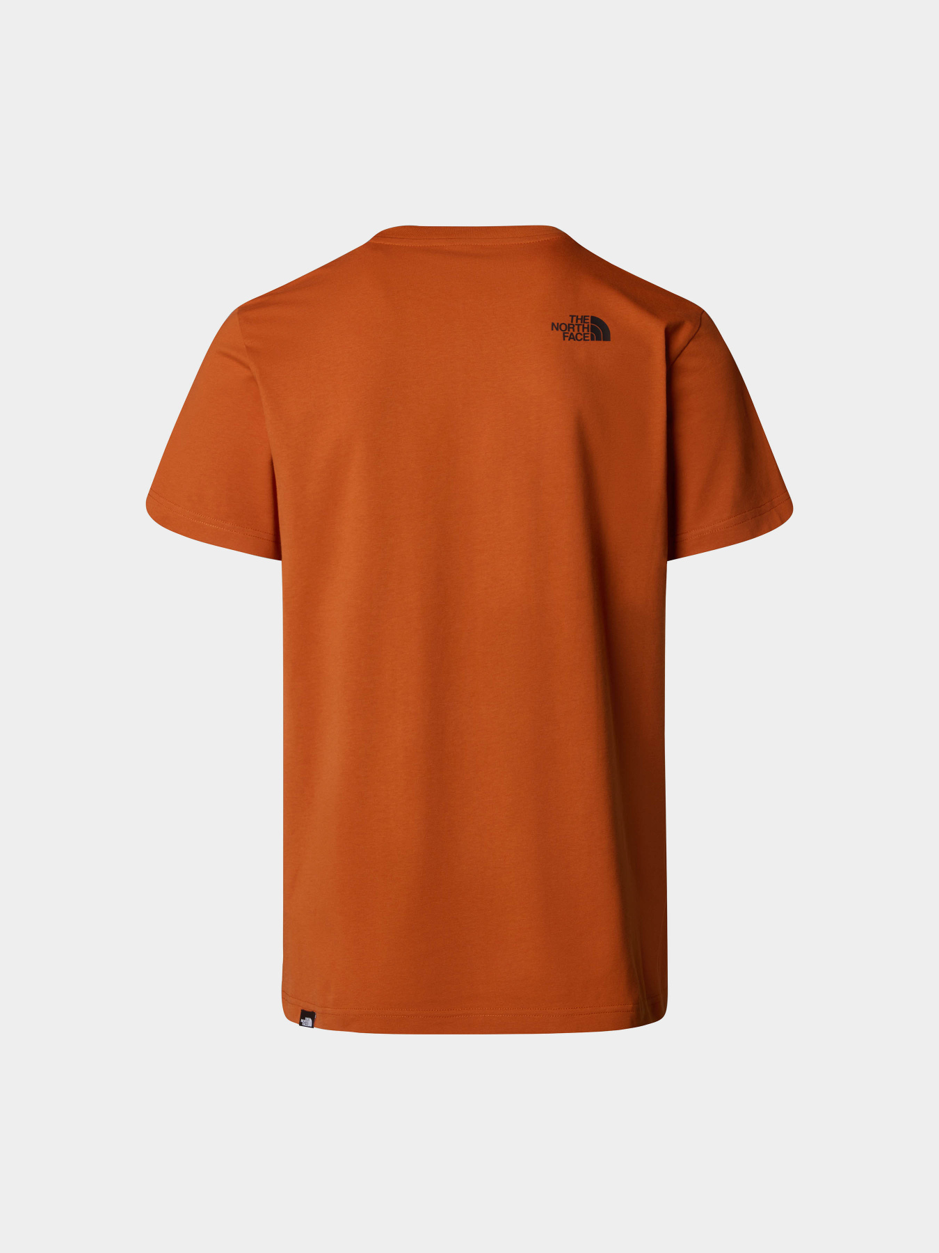 Футболка The North Face Simple Dome модель NF0A87NG1I01 Фото