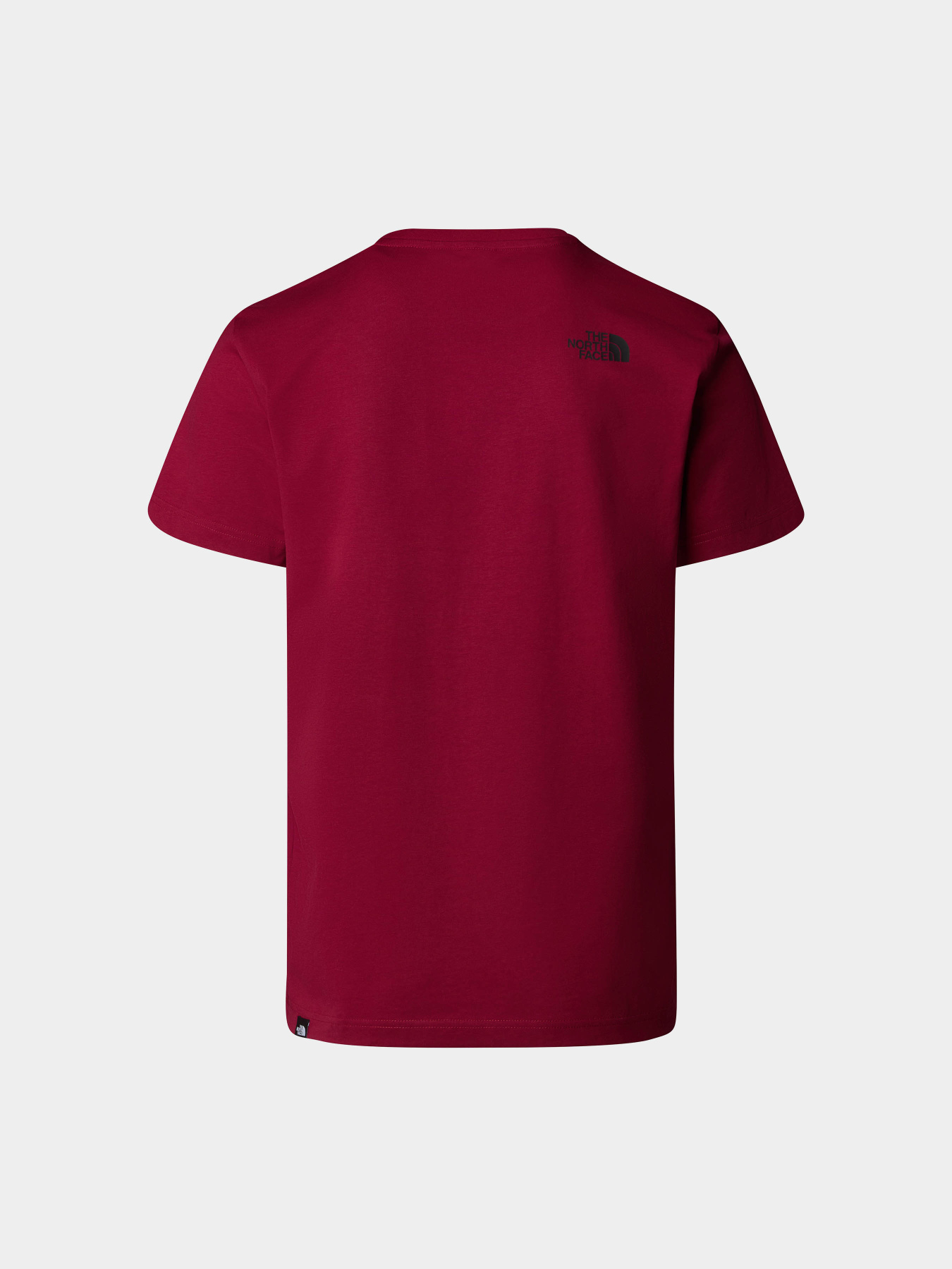 Футболка The North Face Simple Dome модель NF0A87NG1IX1 Футболка The North Face Simple Dome модель NF0A87NG1IX1 Фото